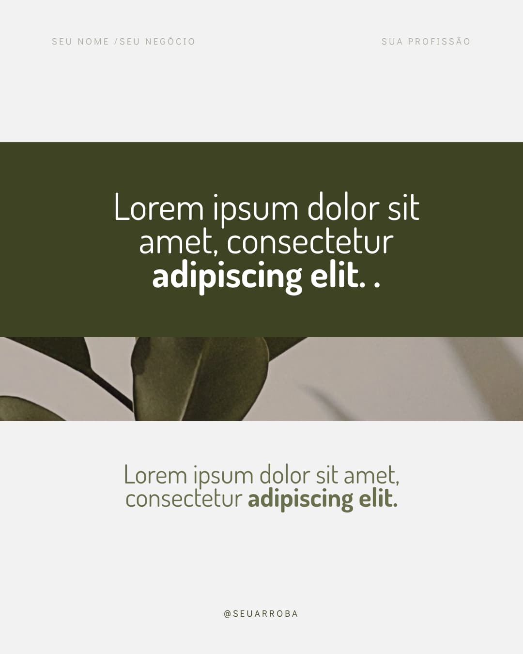 0187H - Modelo de Post para Nutrição